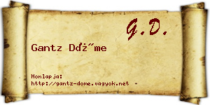 Gantz Döme névjegykártya